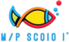 M/P SCOIO 1&deg;